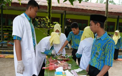 Praktikum Anatomi Ikan dan Ayam, XI MIPA 5 MAN 2 Labura Belajar Langsung Organ Makhluk Hidup